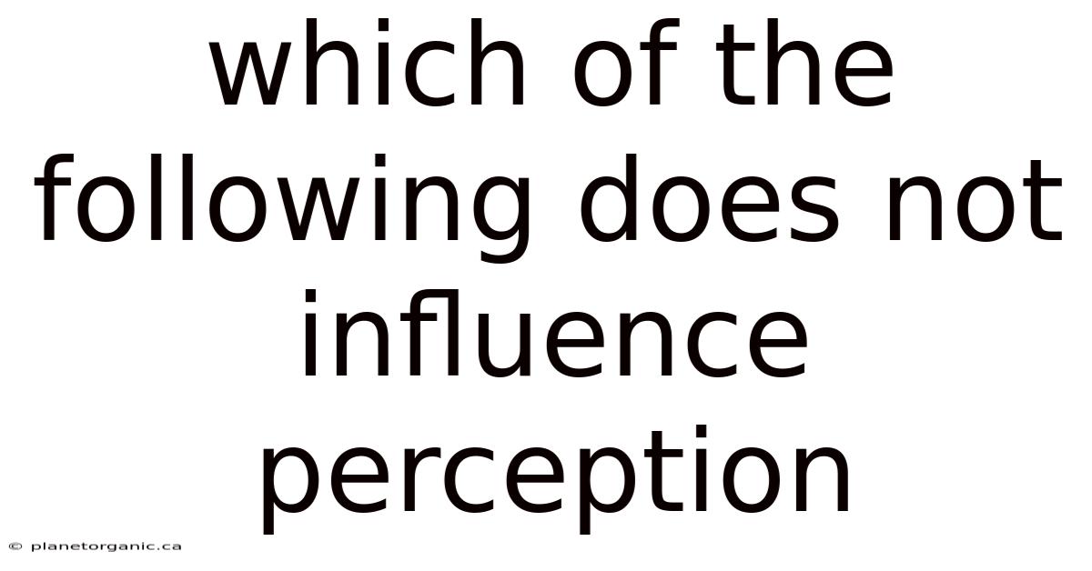 Which Of The Following Does Not Influence Perception