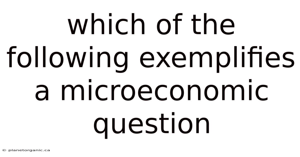 Which Of The Following Exemplifies A Microeconomic Question