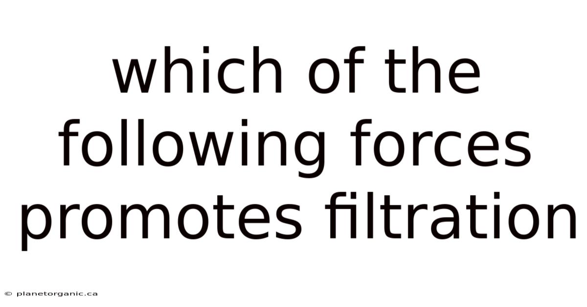 Which Of The Following Forces Promotes Filtration