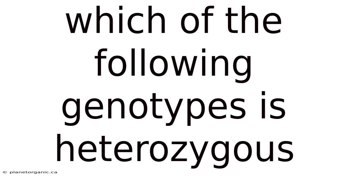 Which Of The Following Genotypes Is Heterozygous