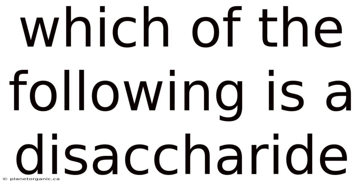 Which Of The Following Is A Disaccharide