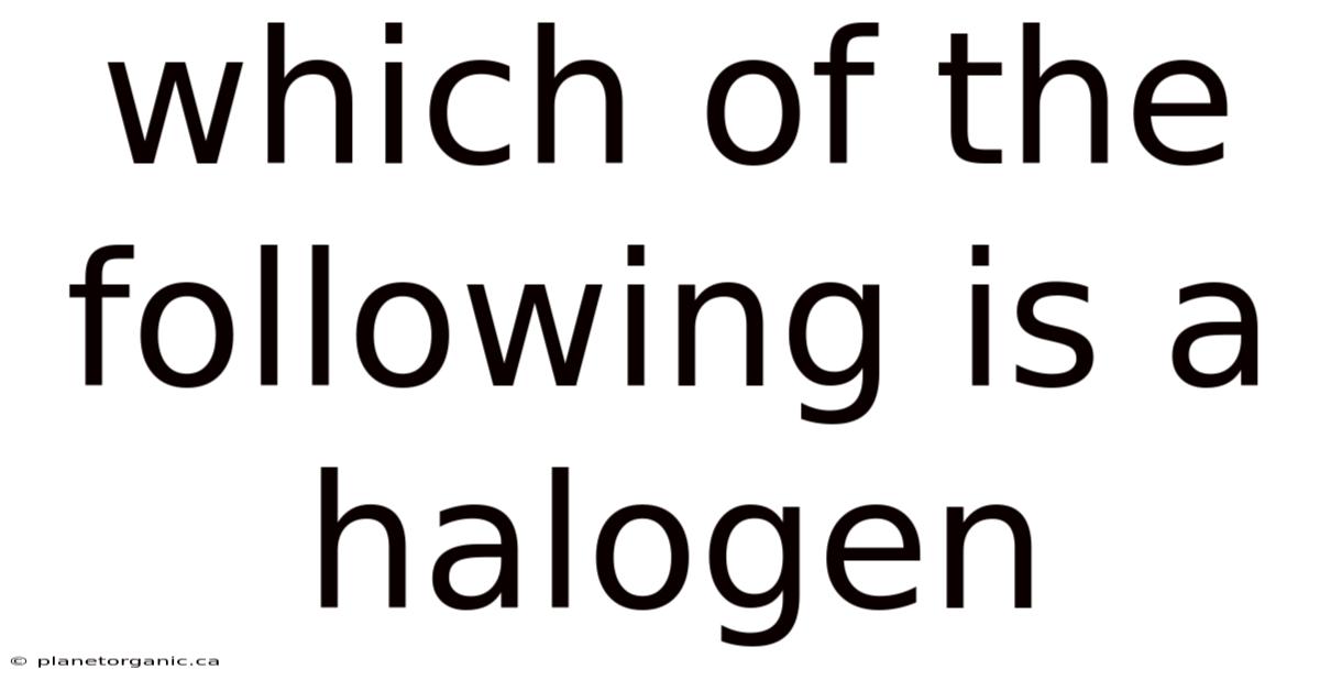 Which Of The Following Is A Halogen