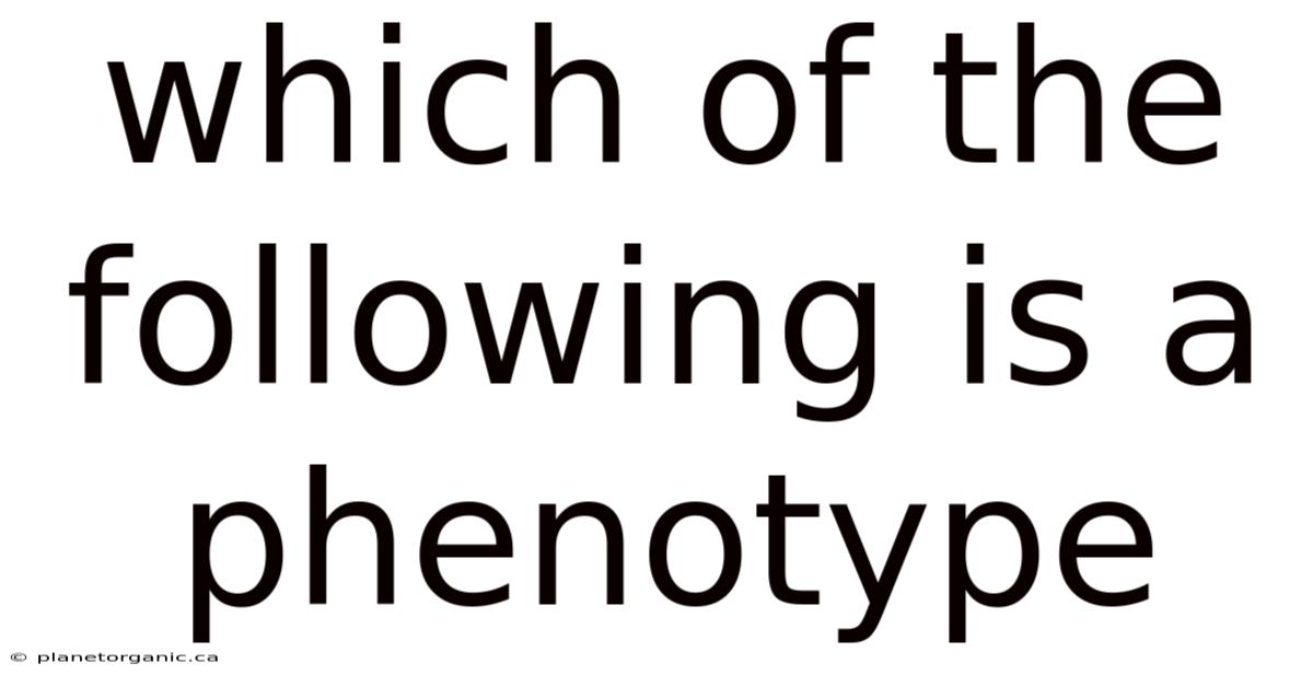 Which Of The Following Is A Phenotype