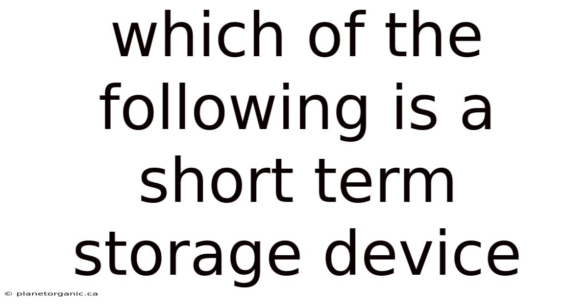 Which Of The Following Is A Short Term Storage Device