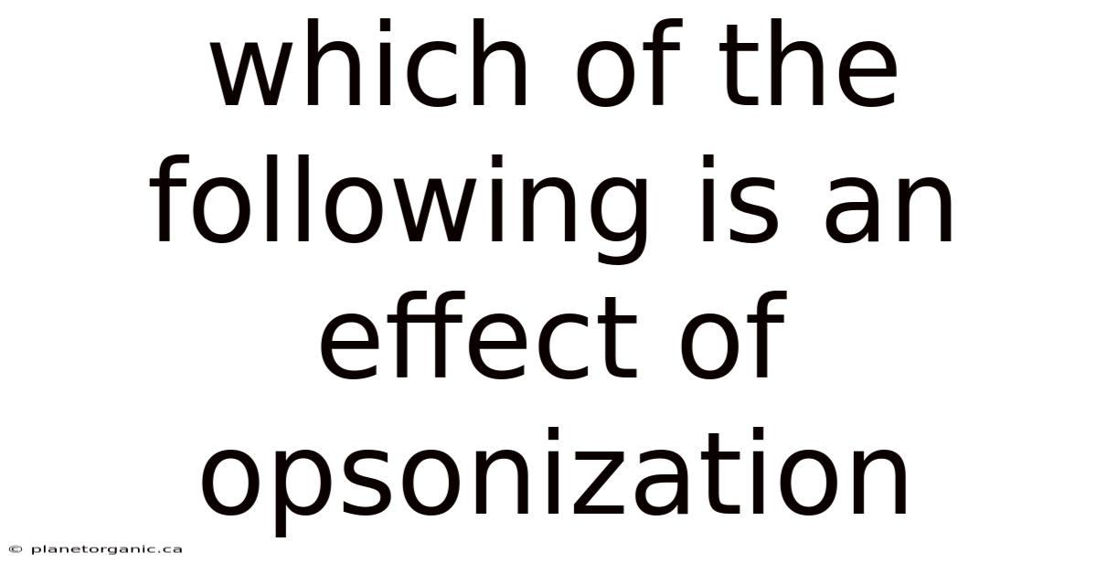 Which Of The Following Is An Effect Of Opsonization