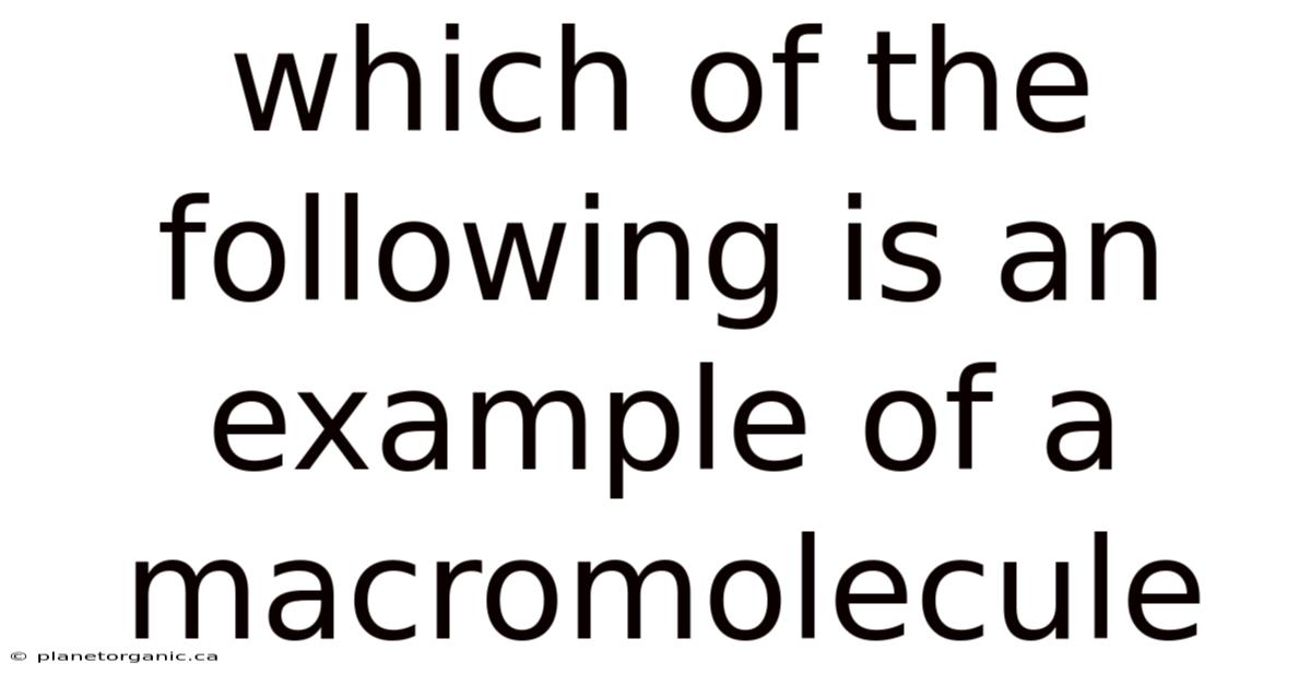 Which Of The Following Is An Example Of A Macromolecule
