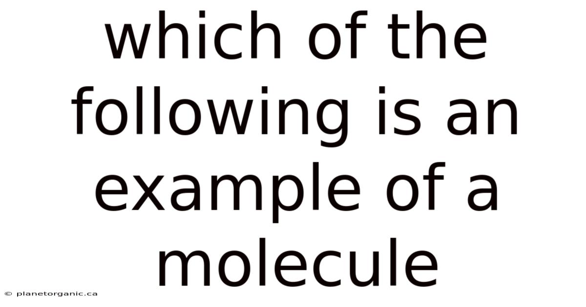 Which Of The Following Is An Example Of A Molecule