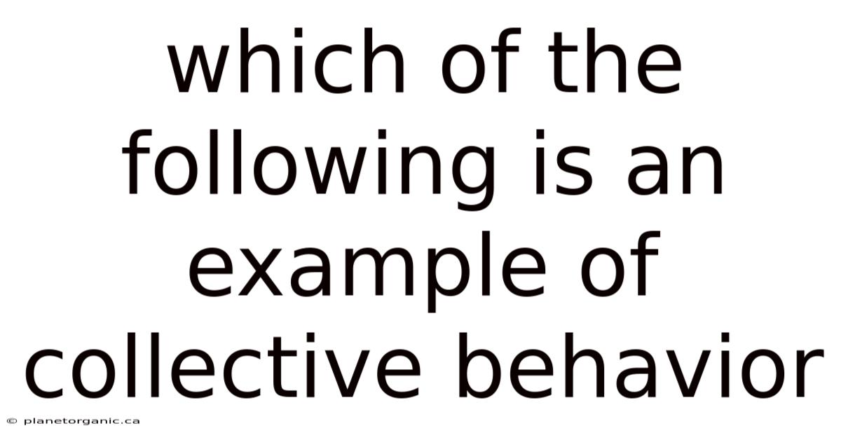 Which Of The Following Is An Example Of Collective Behavior