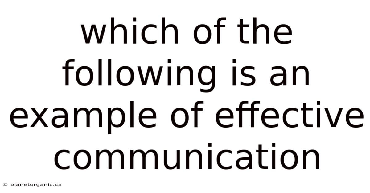 Which Of The Following Is An Example Of Effective Communication
