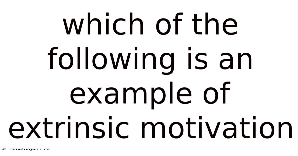 Which Of The Following Is An Example Of Extrinsic Motivation
