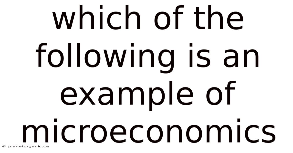 Which Of The Following Is An Example Of Microeconomics