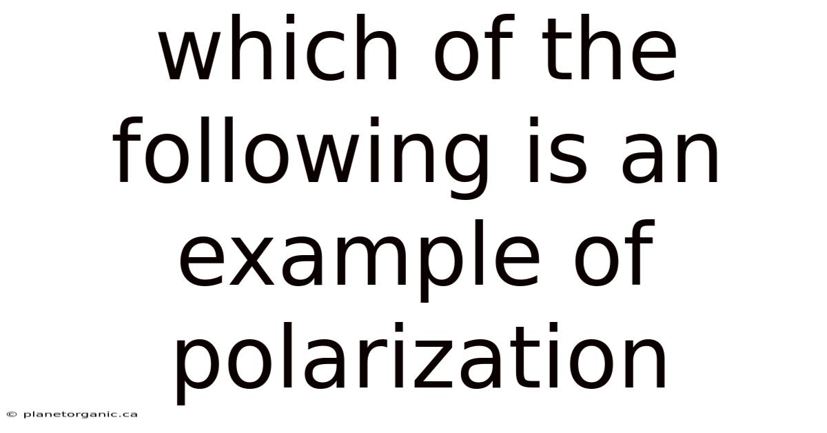 Which Of The Following Is An Example Of Polarization