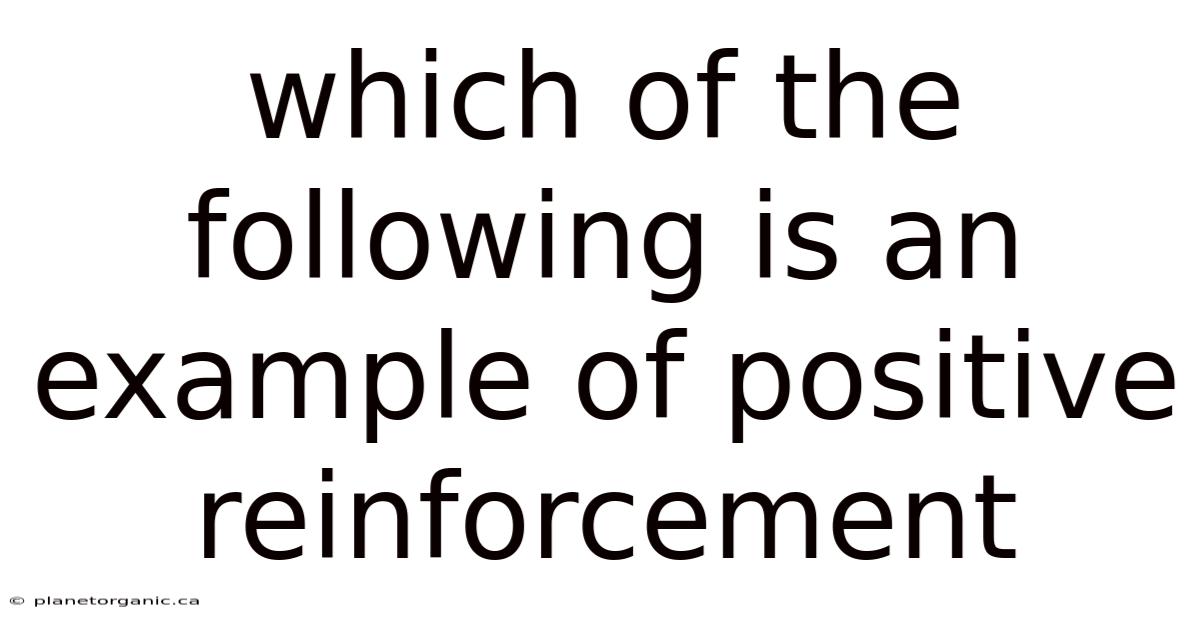 Which Of The Following Is An Example Of Positive Reinforcement