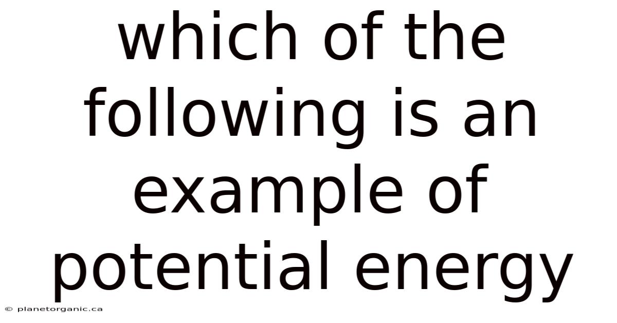 Which Of The Following Is An Example Of Potential Energy