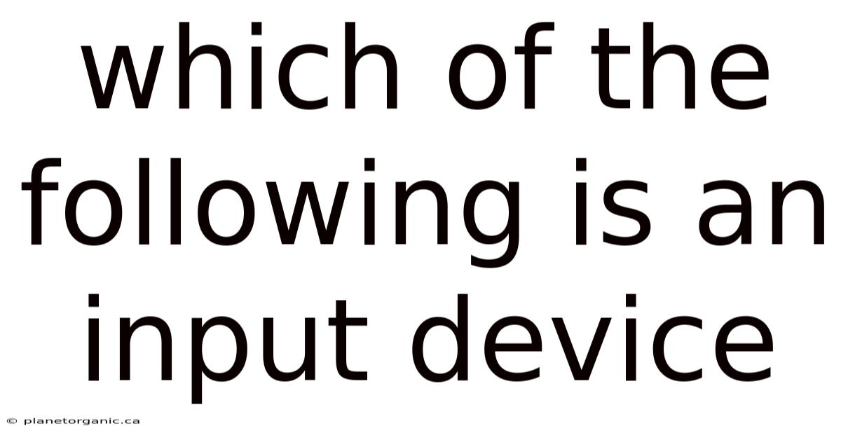 Which Of The Following Is An Input Device