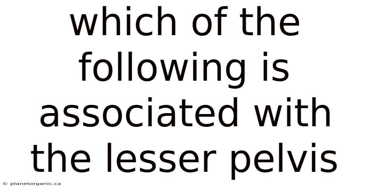 Which Of The Following Is Associated With The Lesser Pelvis