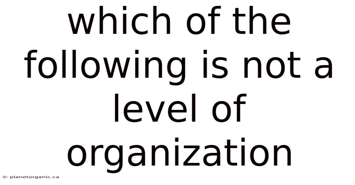 Which Of The Following Is Not A Level Of Organization