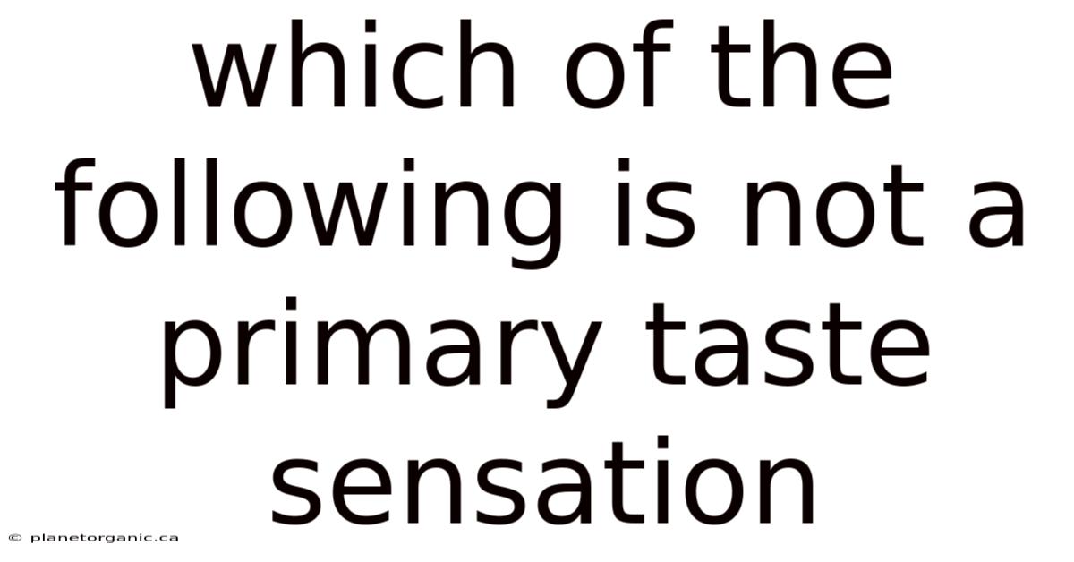 Which Of The Following Is Not A Primary Taste Sensation