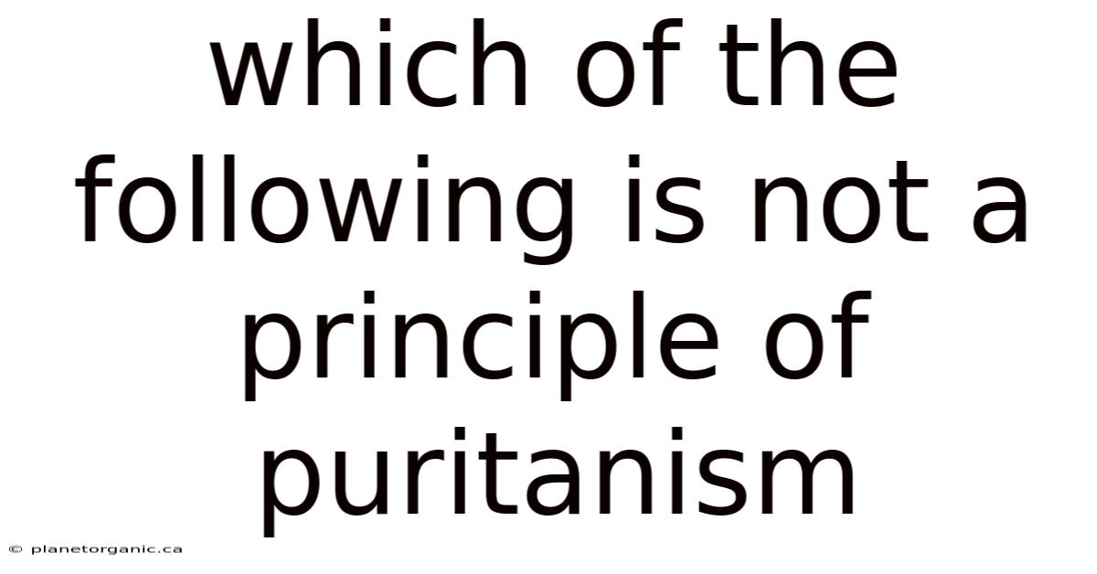 Which Of The Following Is Not A Principle Of Puritanism