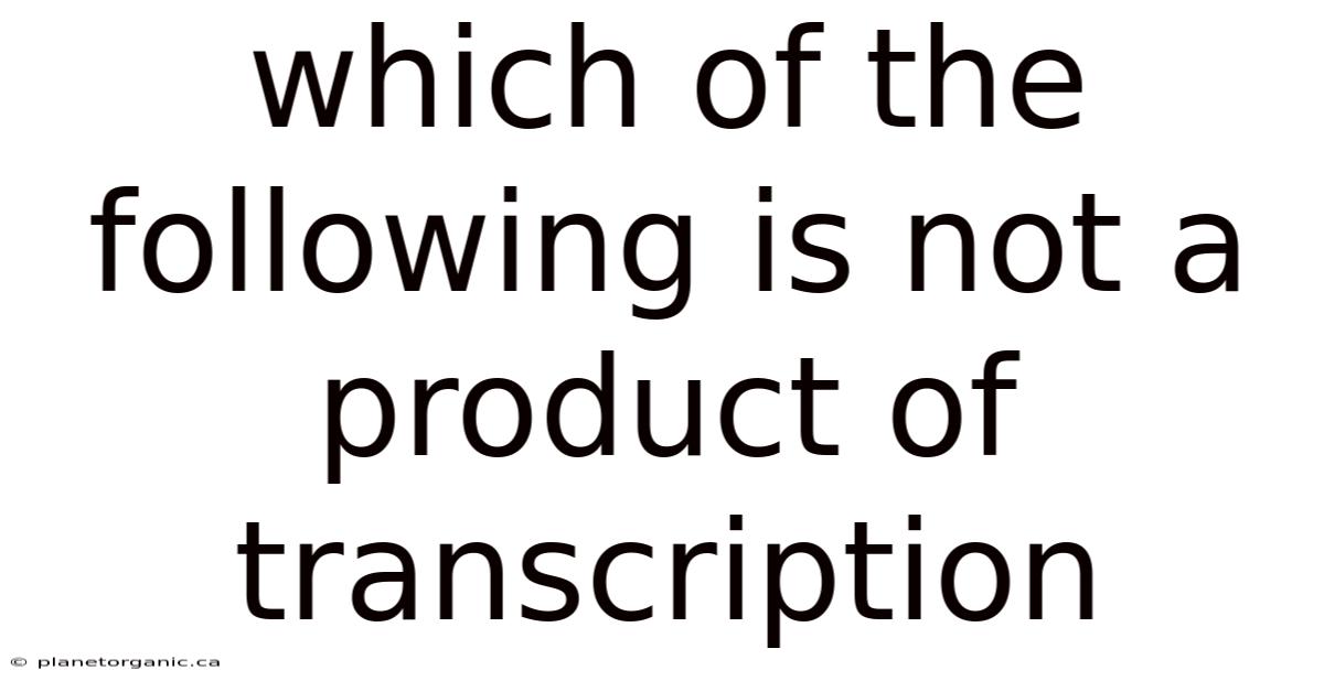 Which Of The Following Is Not A Product Of Transcription