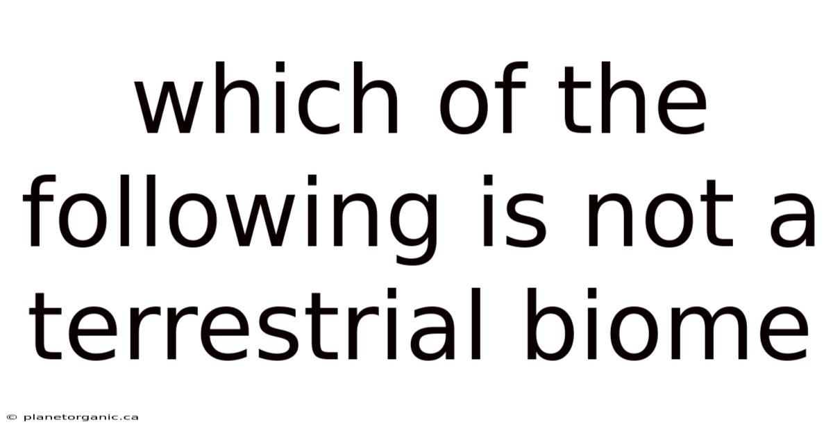 Which Of The Following Is Not A Terrestrial Biome