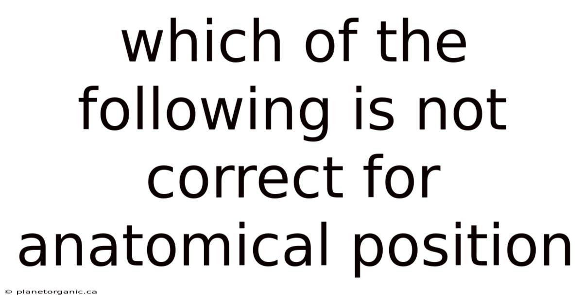 Which Of The Following Is Not Correct For Anatomical Position