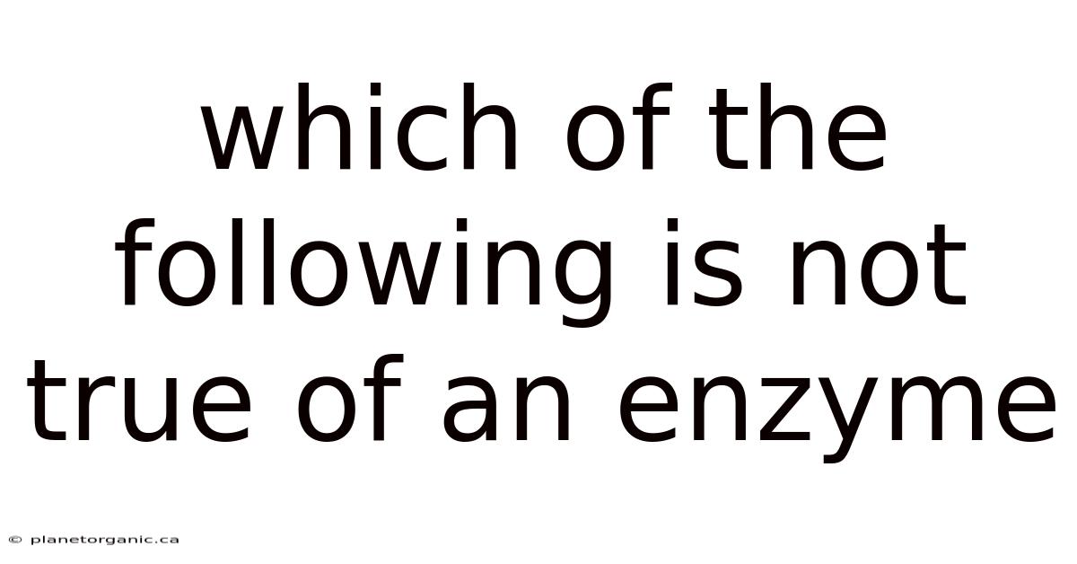 Which Of The Following Is Not True Of An Enzyme