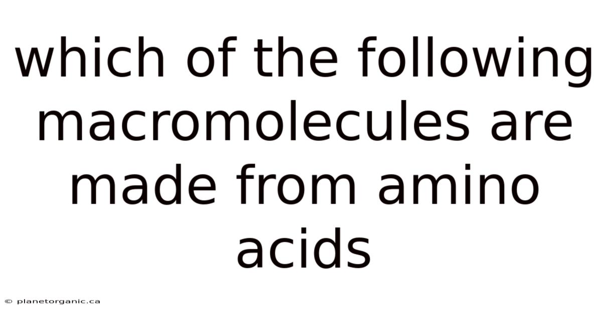 Which Of The Following Macromolecules Are Made From Amino Acids