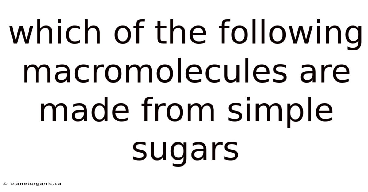 Which Of The Following Macromolecules Are Made From Simple Sugars