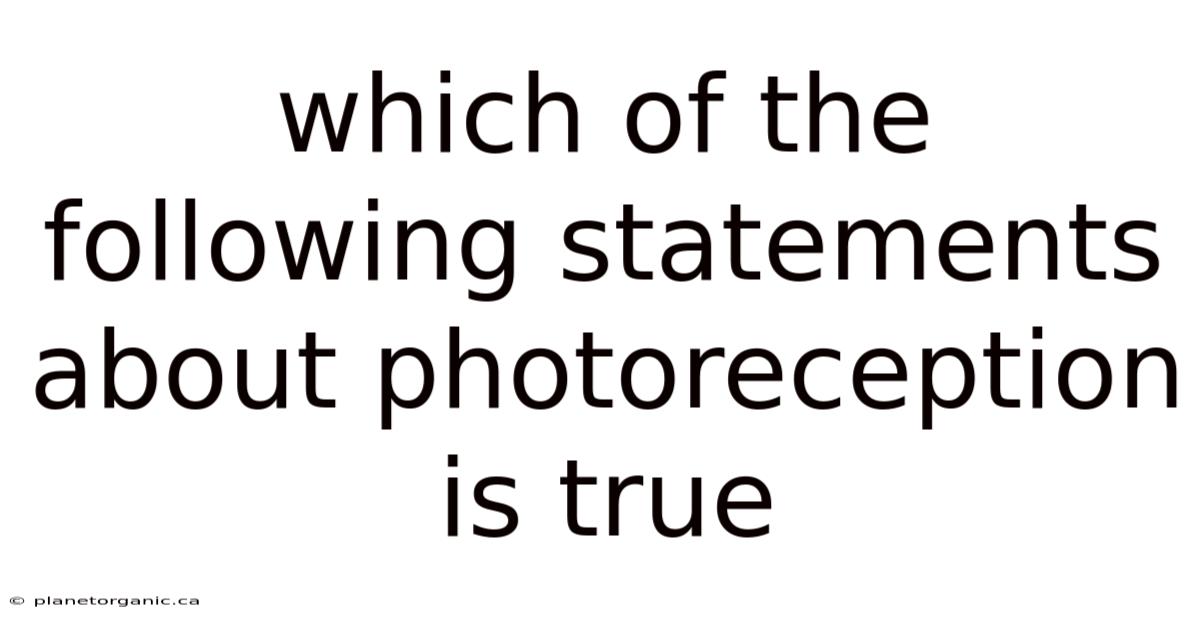 Which Of The Following Statements About Photoreception Is True