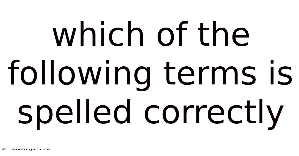 Which Of The Following Terms Is Spelled Correctly