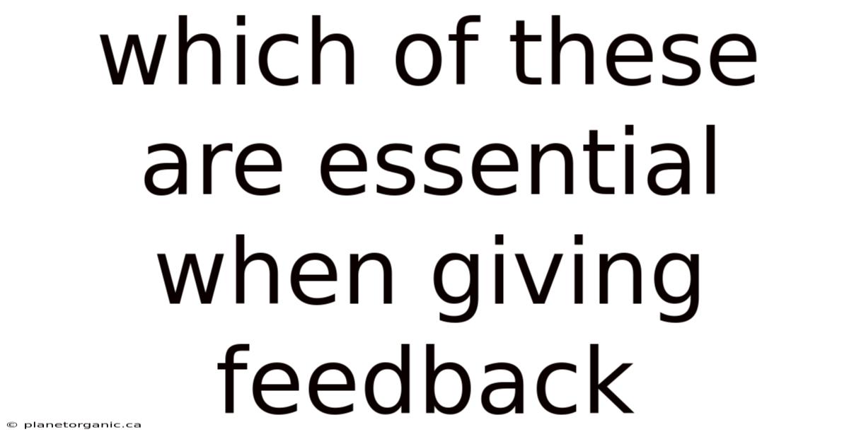Which Of These Are Essential When Giving Feedback
