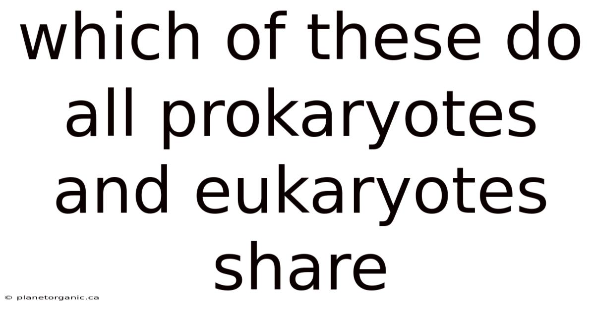 Which Of These Do All Prokaryotes And Eukaryotes Share
