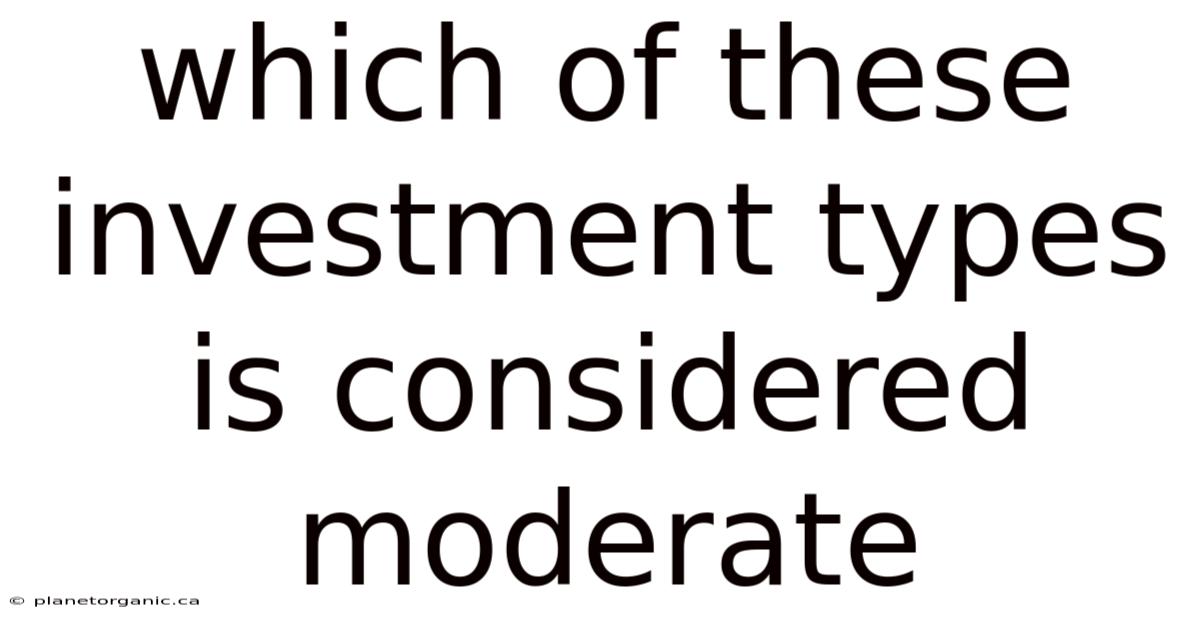 Which Of These Investment Types Is Considered Moderate
