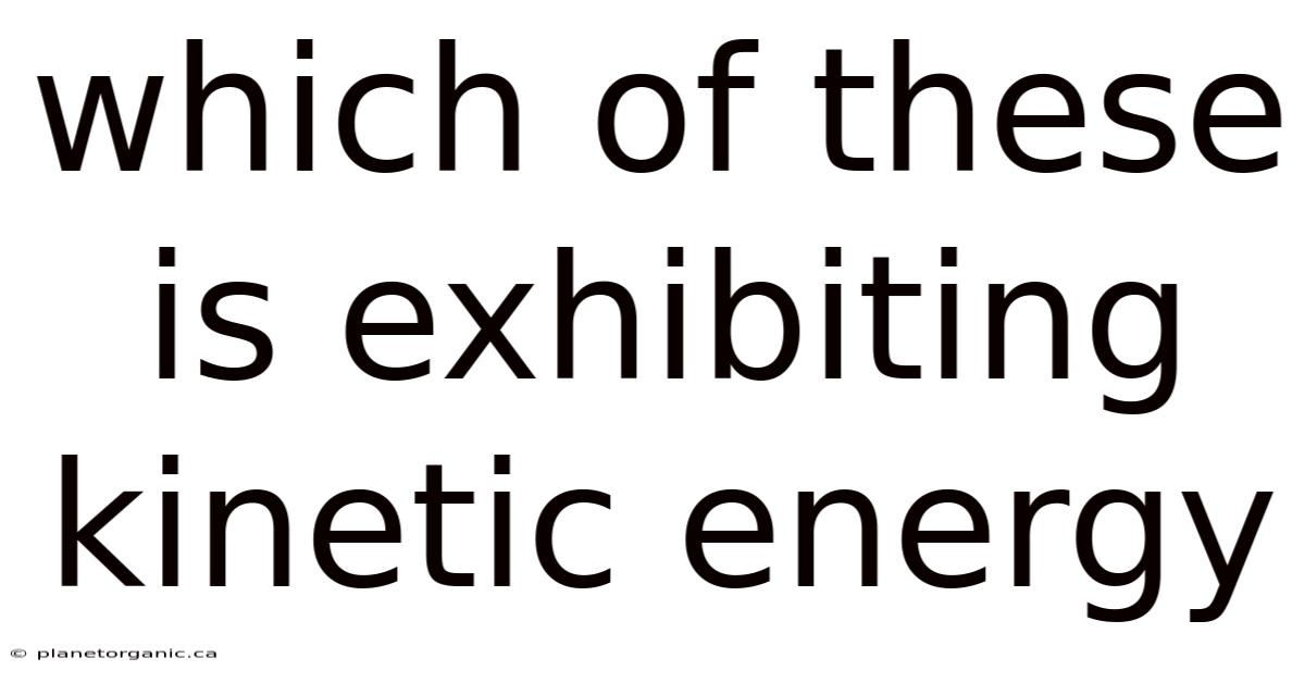 Which Of These Is Exhibiting Kinetic Energy