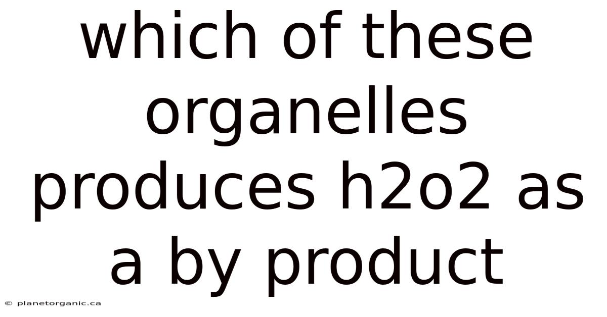 Which Of These Organelles Produces H2o2 As A By Product