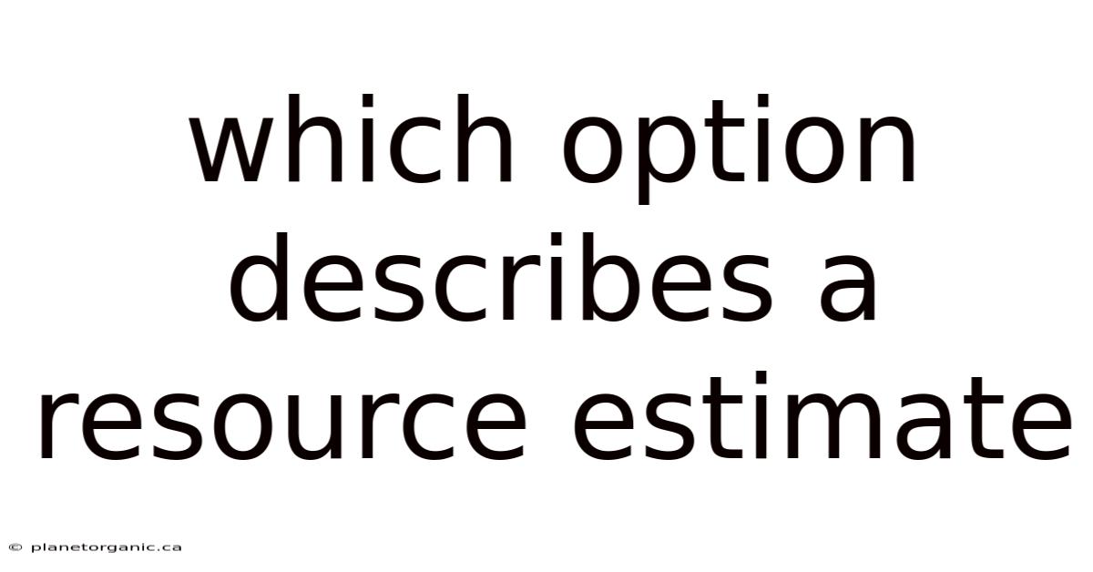 Which Option Describes A Resource Estimate