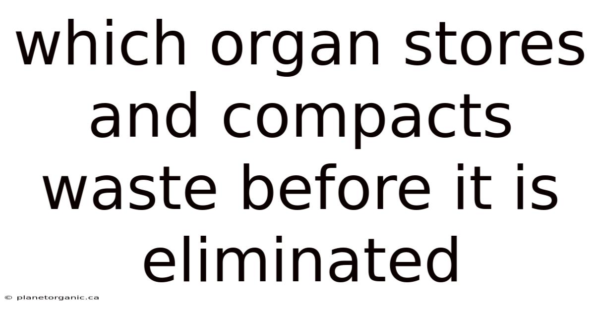 Which Organ Stores And Compacts Waste Before It Is Eliminated