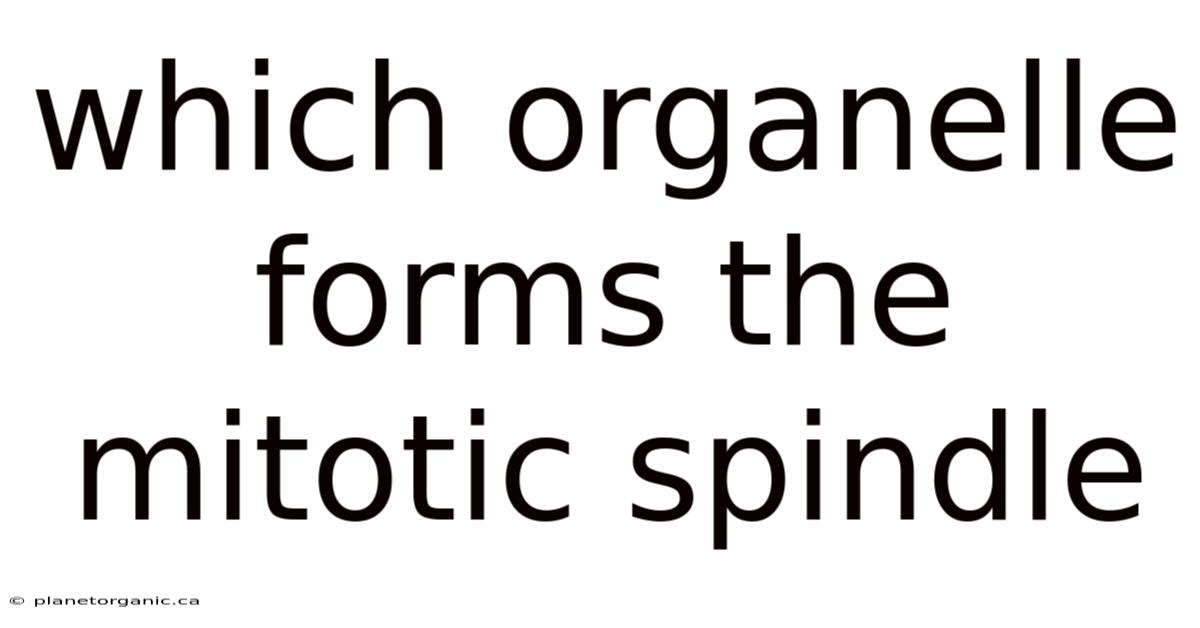 Which Organelle Forms The Mitotic Spindle