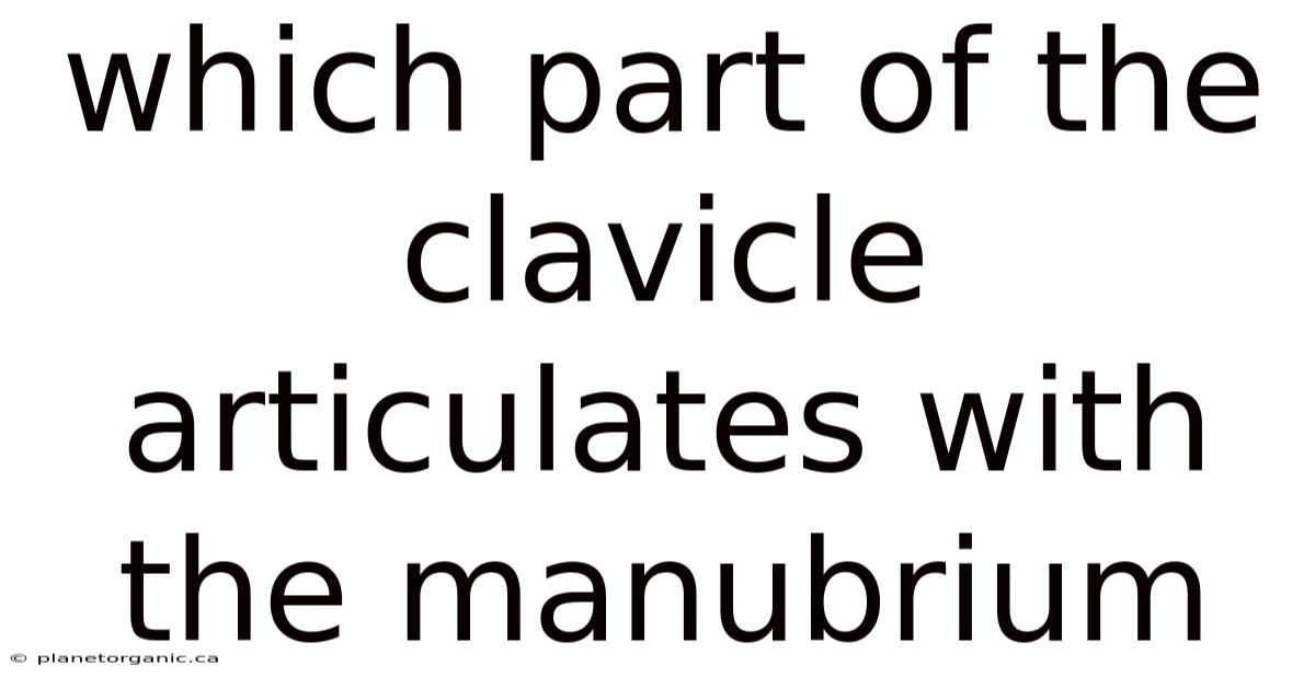 Which Part Of The Clavicle Articulates With The Manubrium