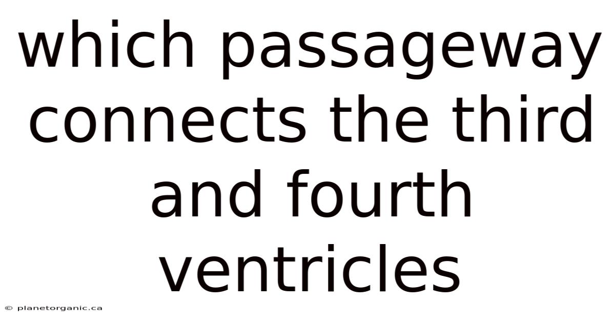 Which Passageway Connects The Third And Fourth Ventricles