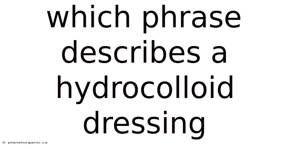 Which Phrase Describes A Hydrocolloid Dressing