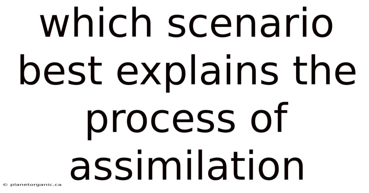 Which Scenario Best Explains The Process Of Assimilation