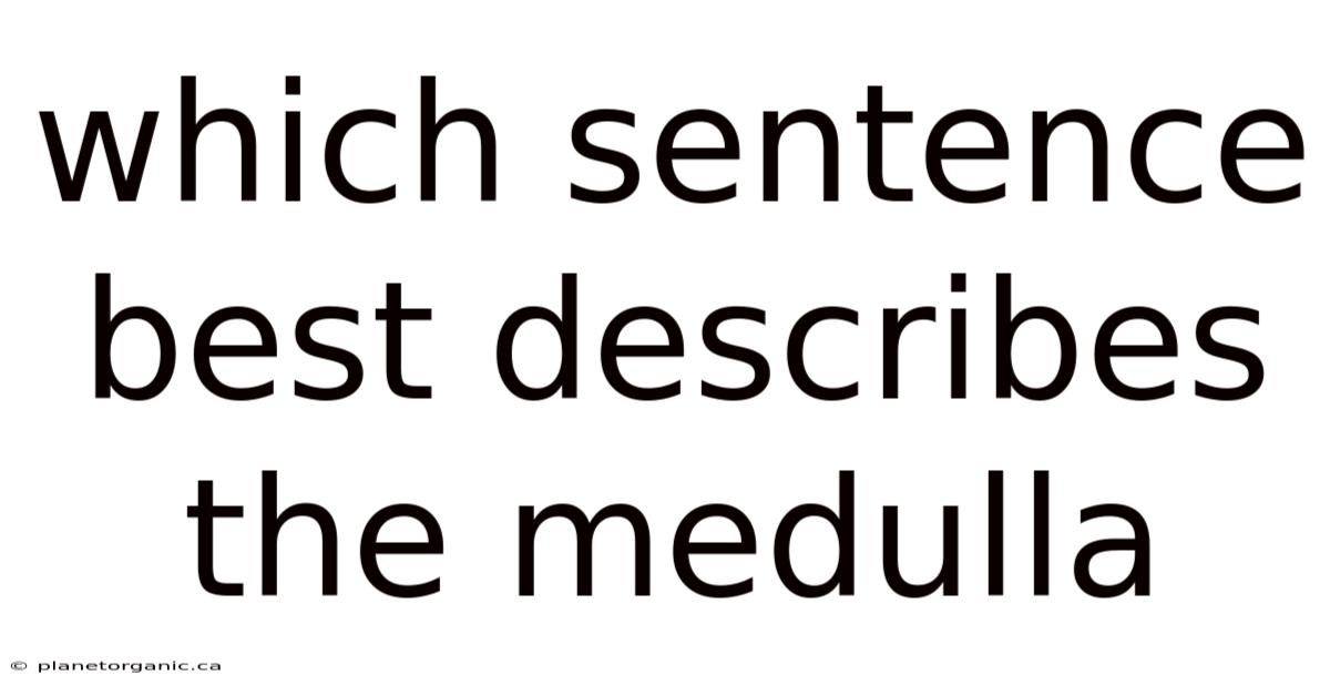 Which Sentence Best Describes The Medulla