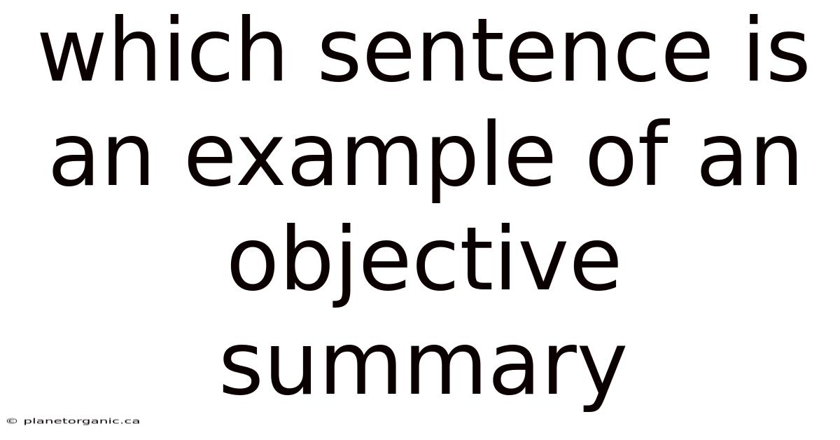 Which Sentence Is An Example Of An Objective Summary