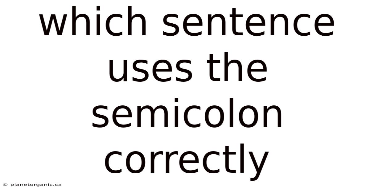 Which Sentence Uses The Semicolon Correctly