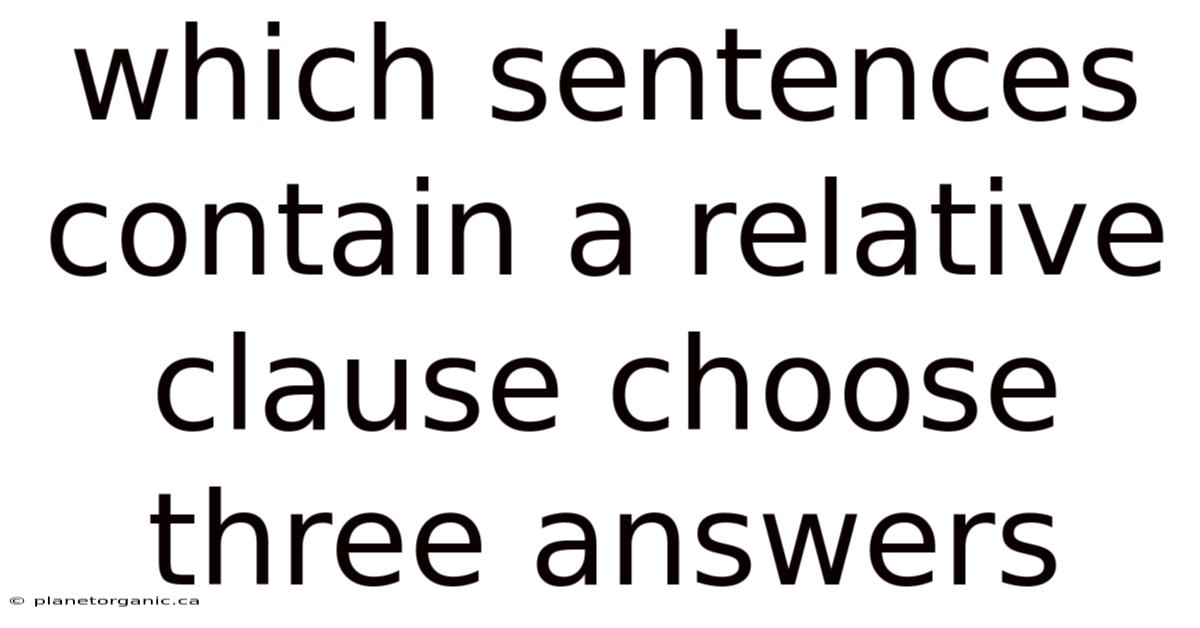 Which Sentences Contain A Relative Clause Choose Three Answers