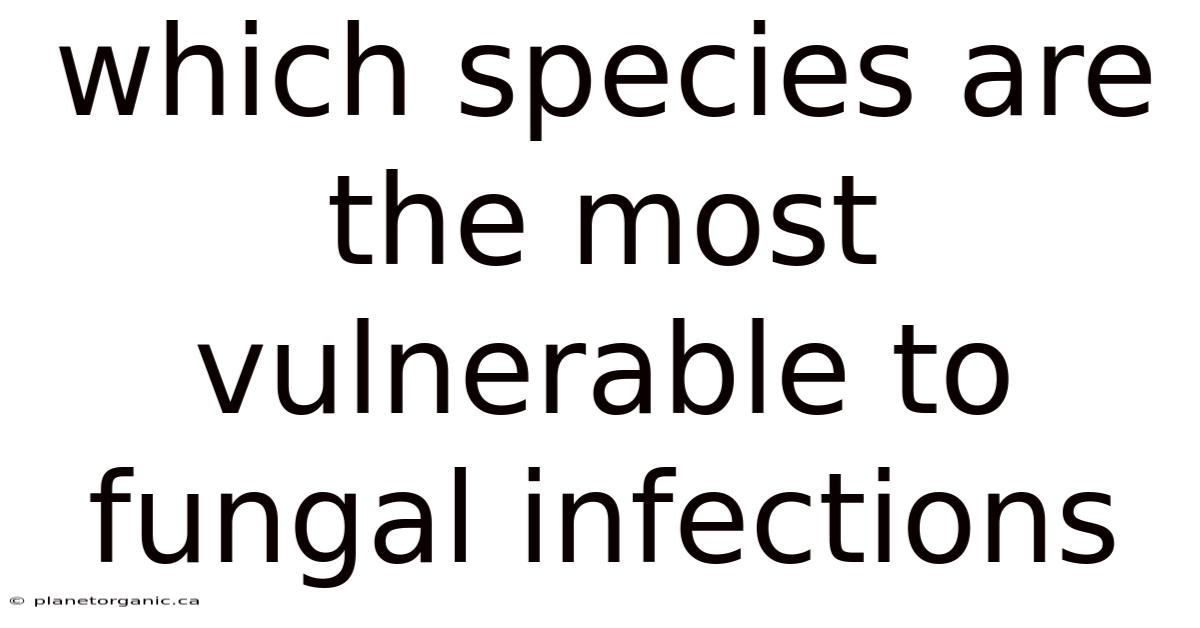 Which Species Are The Most Vulnerable To Fungal Infections