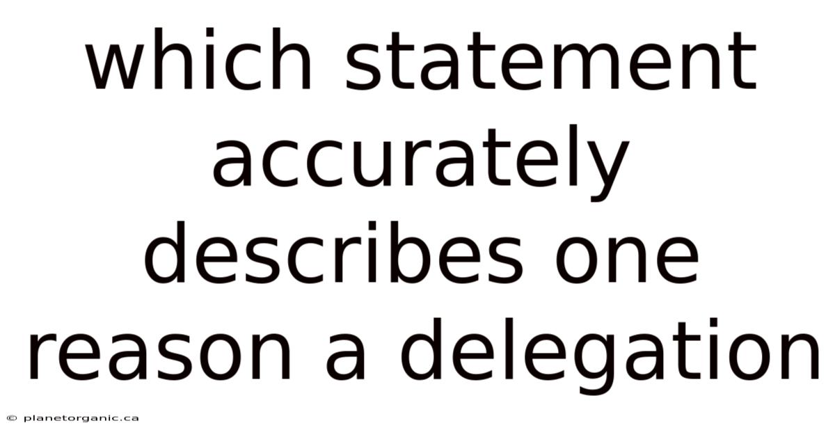Which Statement Accurately Describes One Reason A Delegation