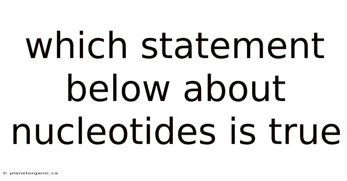 Which Statement Below About Nucleotides Is True